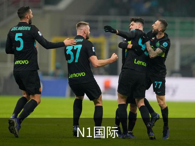 N1国际简介